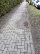 Foto: Gewegschäden  
